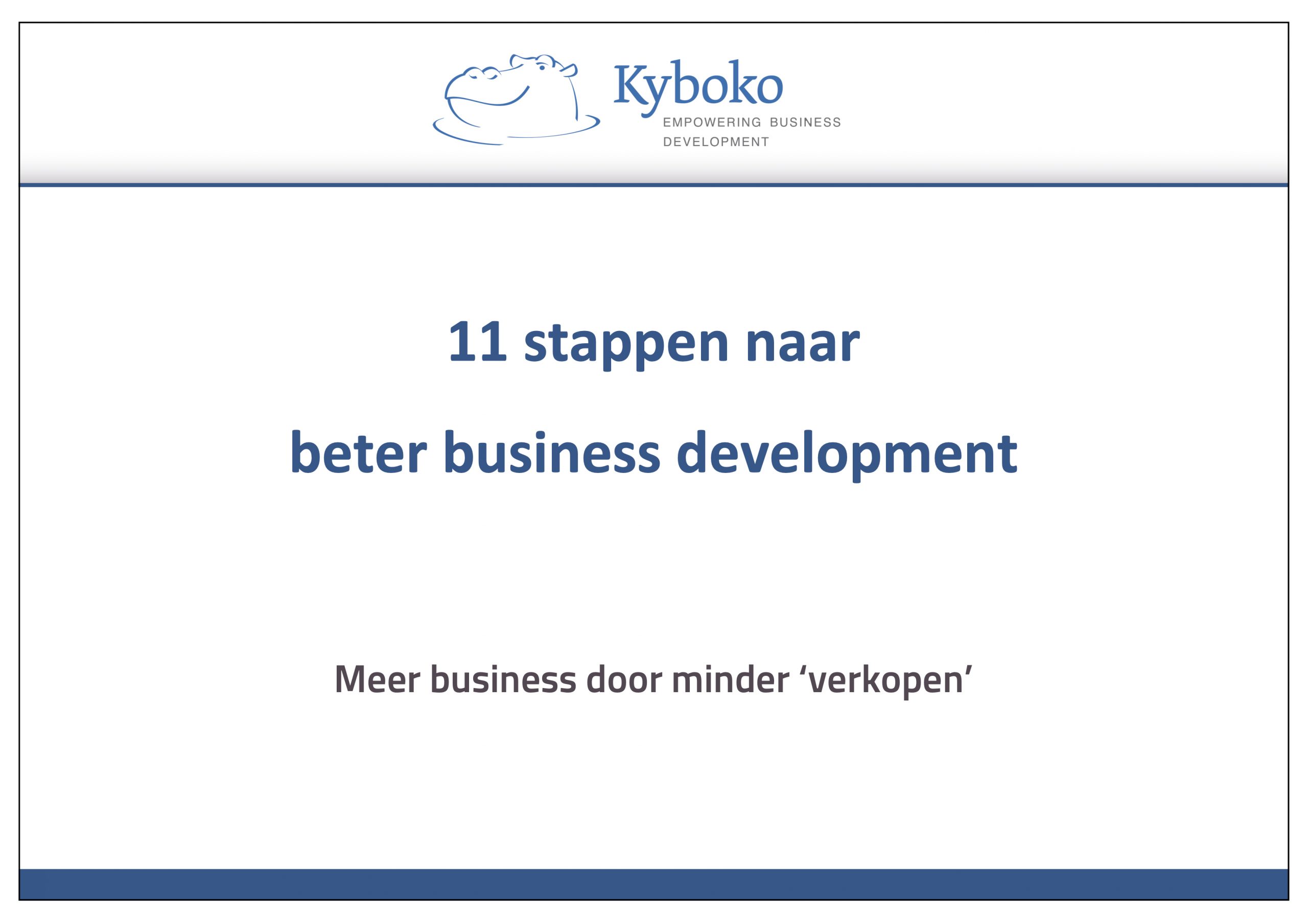 11 stappen business development